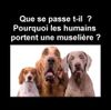 FB_IMG_1585493636275.jpg