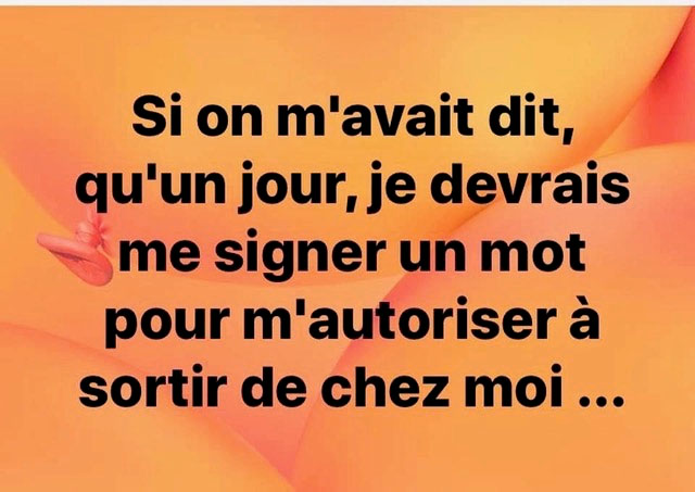 sans-titre.jpg