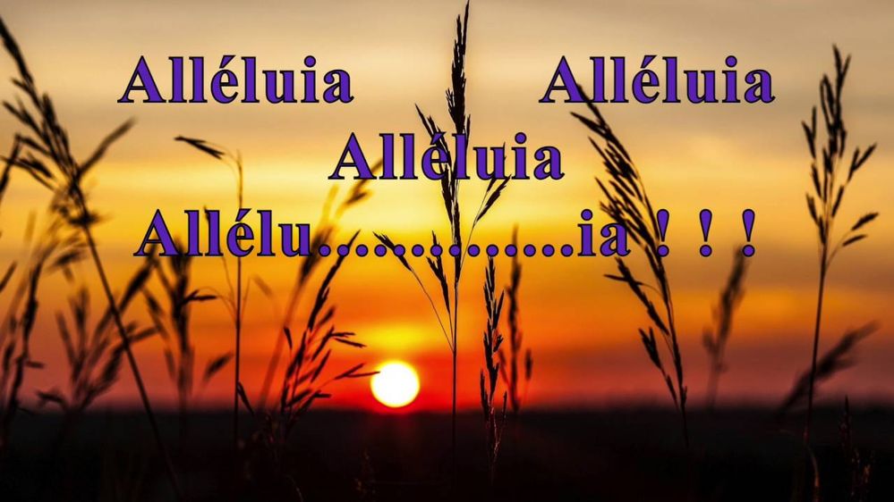 allelouia.jpg