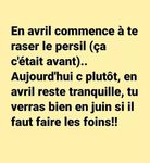 foins.jpg