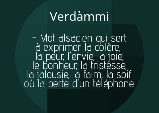 verdammi.jpg