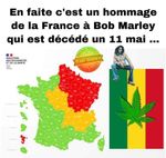 bob.jpg