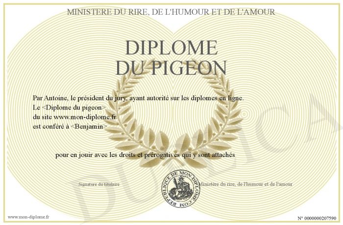 700-207590-Diplome-du-pigeon.jpg