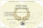 700-207590-Diplome-du-pigeon.jpg