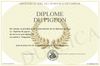 700-207590-Diplome-du-pigeon.jpg