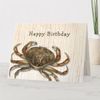 carte_gros_crabe_joyeux_anniversaire_funny_custom-r72d4bed1e419498f9fa0b46295838c65_tcvlm_307.jpg