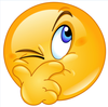 img-53107493fc.png