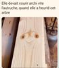 FB_IMG_1594451355425.jpg