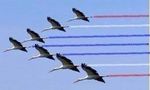 patrouille.jpg