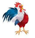 coq.jpg
