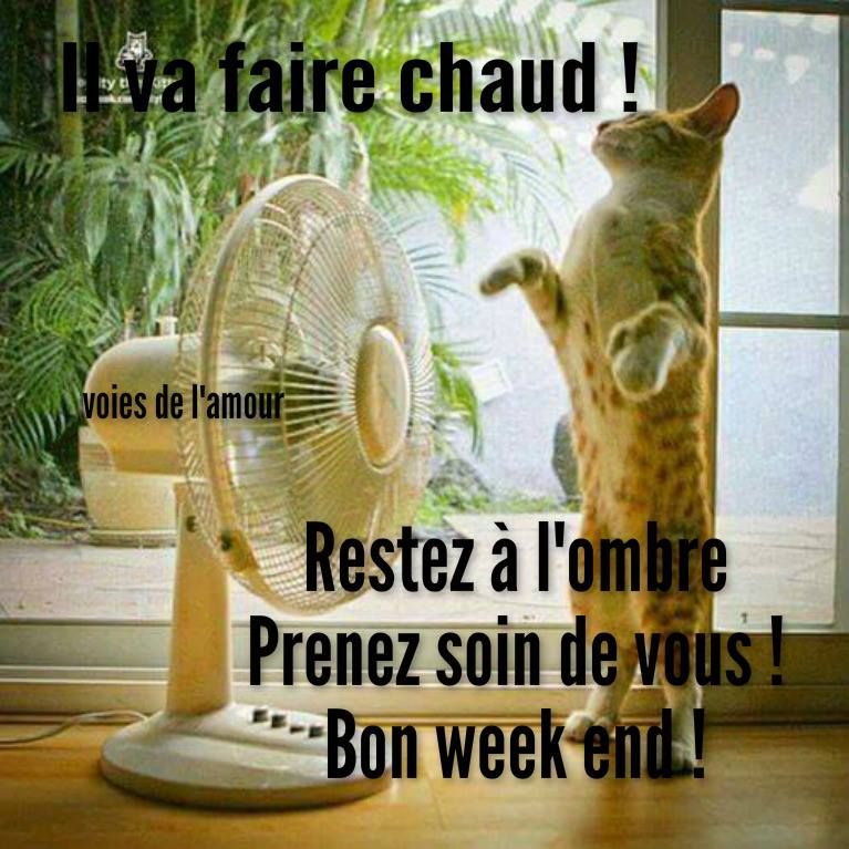 bon-week-end_082.jpg