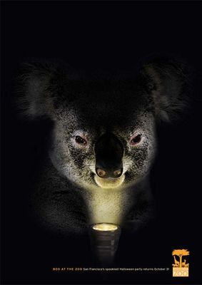 koala halloween.jpg