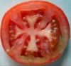 Tomate & Ordre du Temple.jpg
