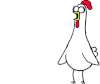 giphy.gif