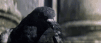 YoungWealthyHyena-max-1mb.gif