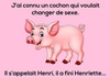 cochon.jpeg