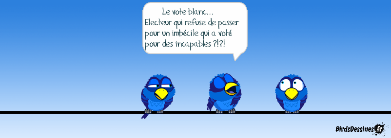 oui.png