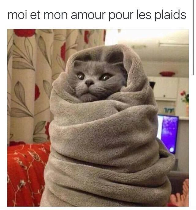 J-ai-froid.jpg