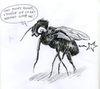 mouche001