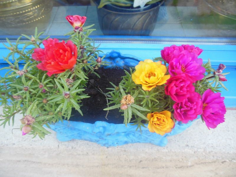 annie fleurs 68.jpg