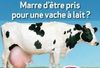 Nouveau vendeur ebay