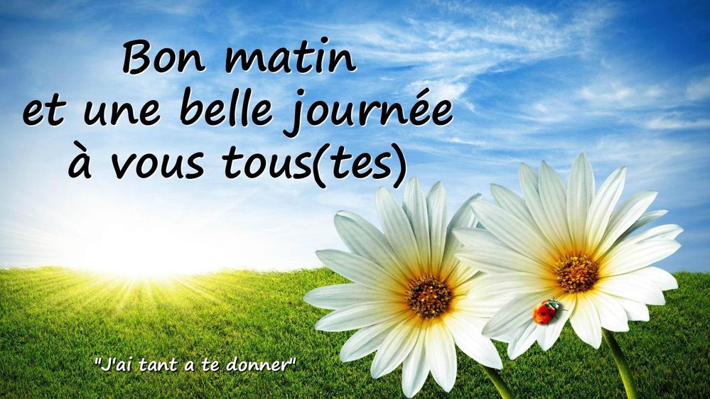 bon-matin_022.jpg