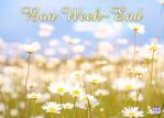 champ-fleurs-bon-week-end-123cartes.jpg