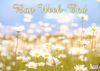 champ-fleurs-bon-week-end-123cartes.jpg