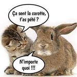 images (2).jpg