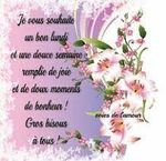 belote67_0-1629695677777.jpeg