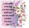 belote67_0-1629695677777.jpeg