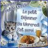 belote67_0-1629872387801.jpeg