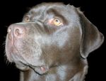 DSCN5792 - Copie.JPG