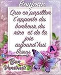 belote67_0-1631247177105.jpeg