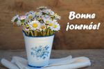 bonne-journee-vase-pot-fleurs-marguerites.jpg