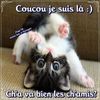 coucou_030.jpg