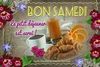 belote67_0-1637992441541.jpeg