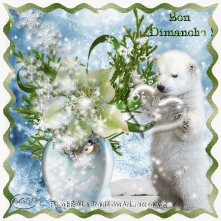 Bonne journée