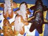 belote67_1-1638776736106.jpeg