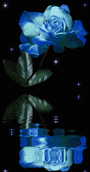 78120961_o.gif