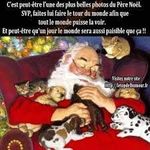 téléchargement.jpg