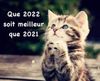 bonne-annee_009f.jpg