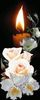 belote67_0-1641900002215.jpeg