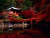 Temple-Daigo-ji-Kyoto-Japon-photo-01.jpg