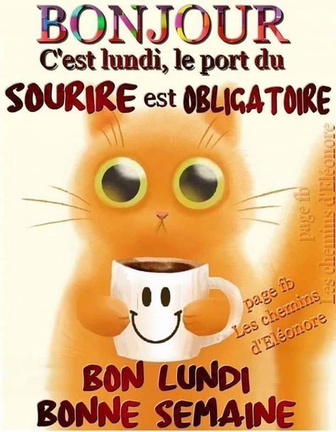 lundi.jpg