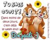 jeudi.jpg