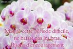 4e0405ae659cfc5c1aad449e449acec2.jpg
