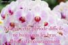4e0405ae659cfc5c1aad449e449acec2.jpg