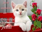 jeudi_129.jpg