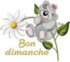 koala-bon-dimanche.jpg